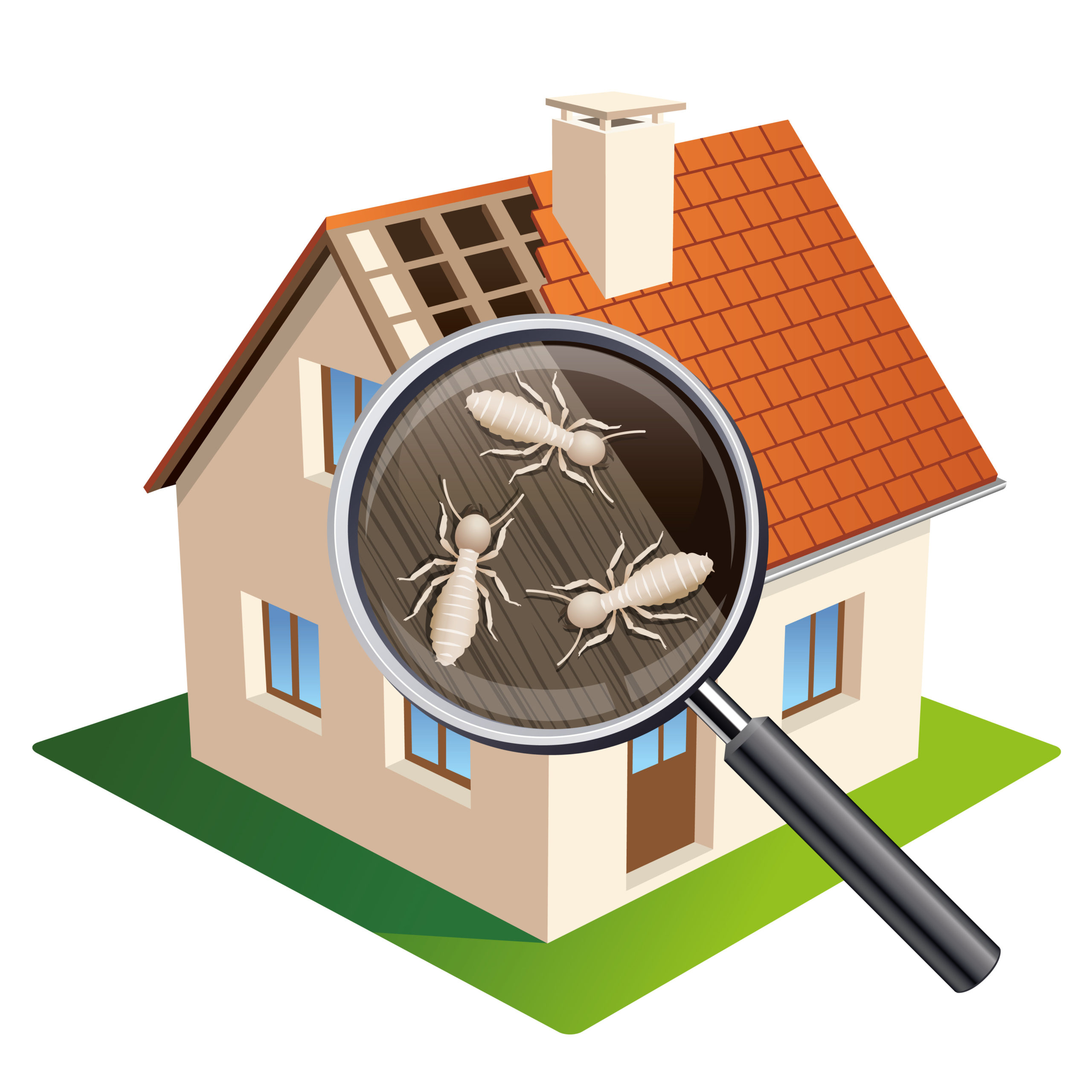 What is Halo Electronic Termite Detection and How Does it Work